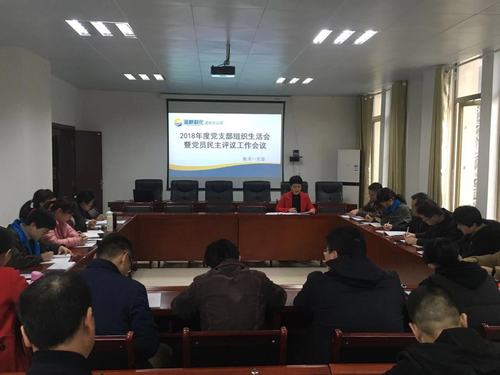 鐘林琳：龍巖分公司機(jī)關(guān)一支部召開(kāi)2018年度黨支部組織生活會(huì)暨評(píng)議黨員會(huì)議.jpg
