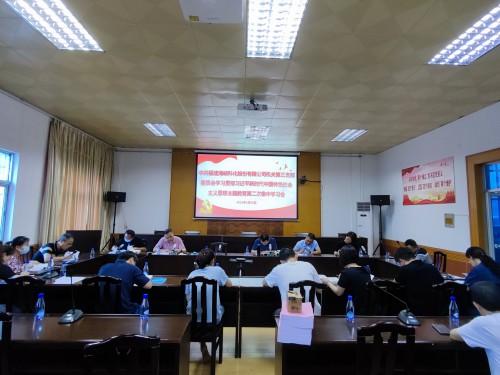 格式工廠圖：海峽科化公司機關(guān)三支部開展學(xué)習(xí)貫徹習(xí)近平新時代中國特色社會主義思想主題教育第二次集中學(xué)習(xí)會.jpg